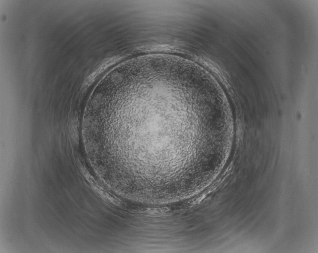 X0000083630345200702121211