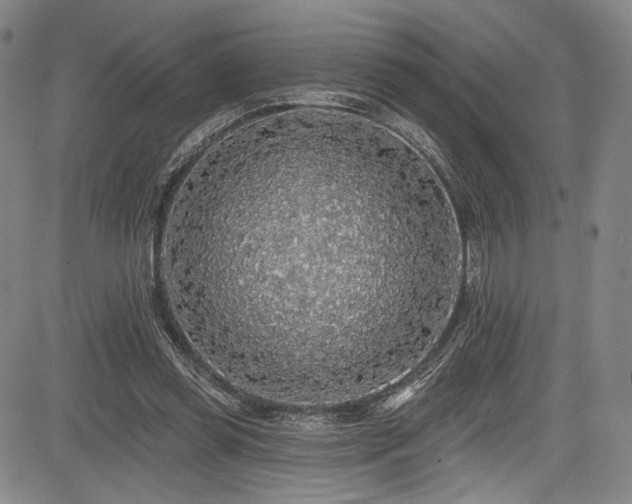 X0000083630349200702121211