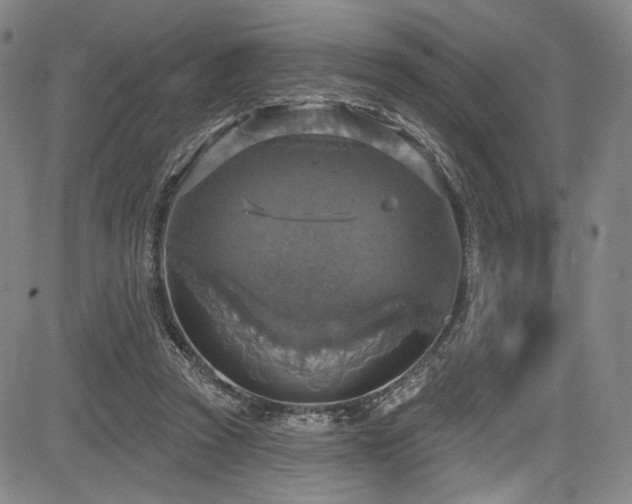 X0000083630353200702121211