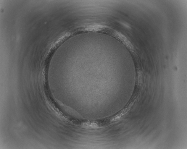 X0000083630354200702121211