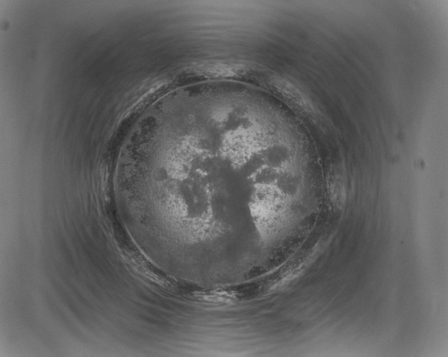 X0000083630359200702121211