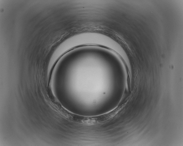 X0000083630362200702121211