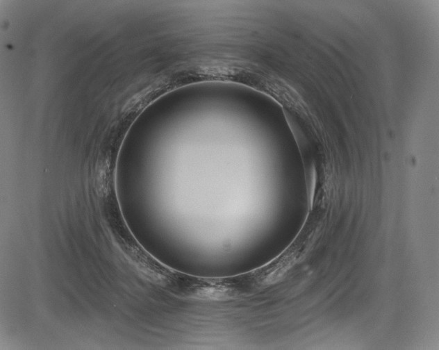 X0000083630364200702121211