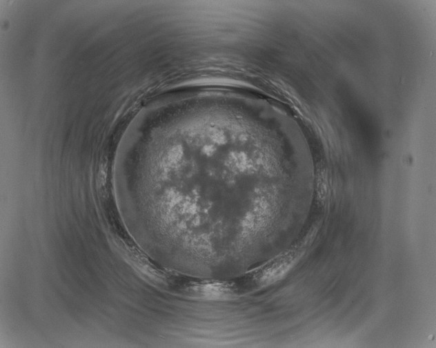 X0000083630365200702121211