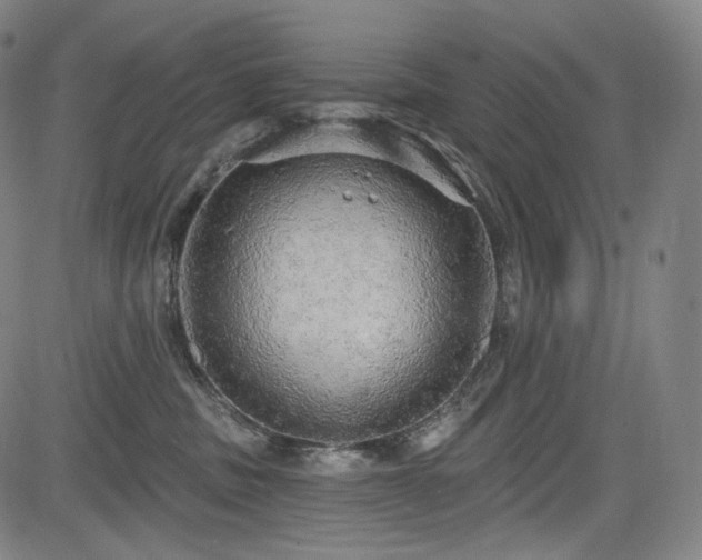 X0000083630379200702121211