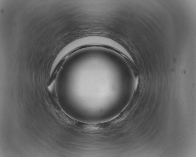 X0000083630380200702121211