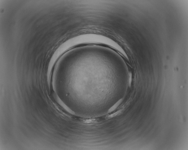 X0000083630382200702121212