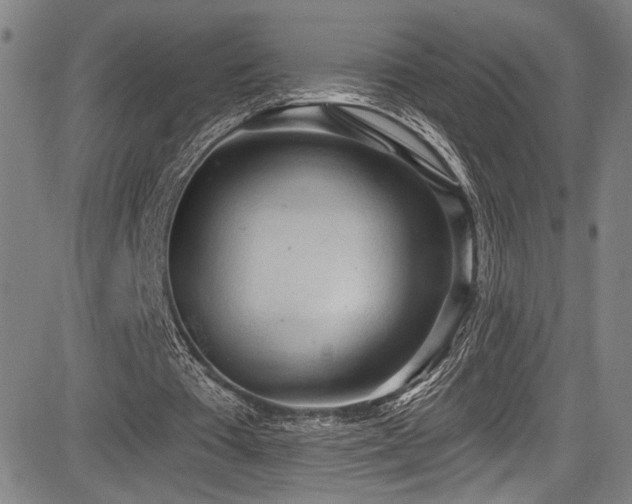 X0000083630385200702121211