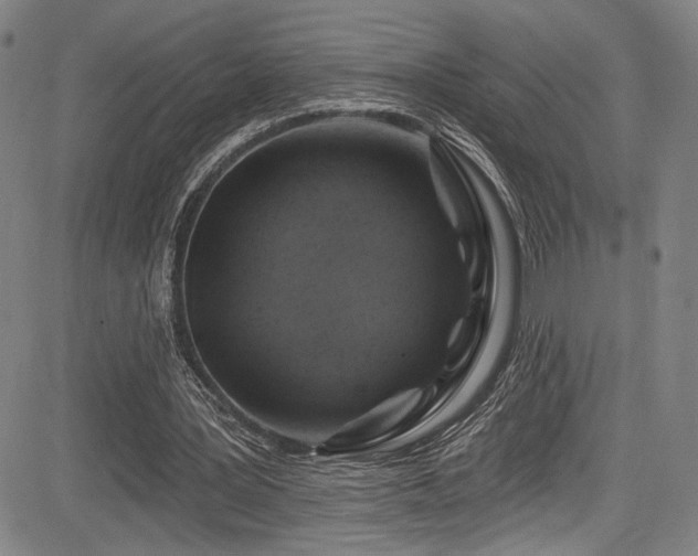 X0000083630387200702121211