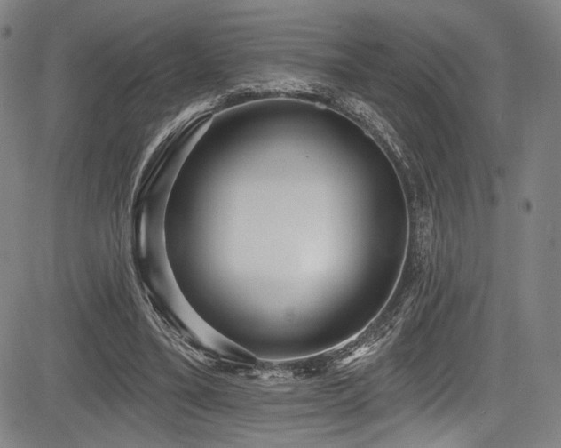 X0000083630395200702121211