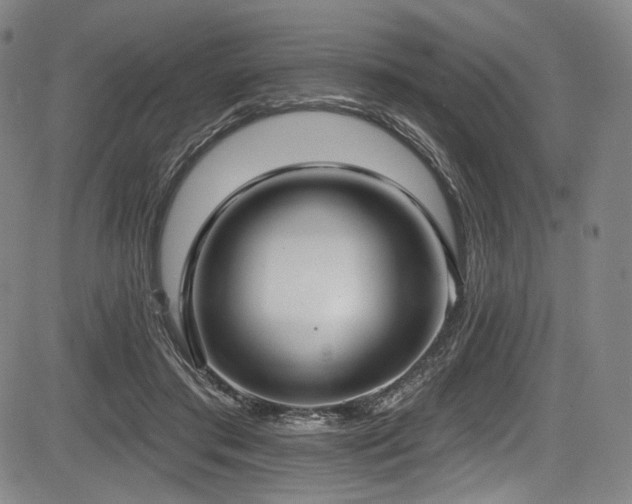 X0000083630405200702121210