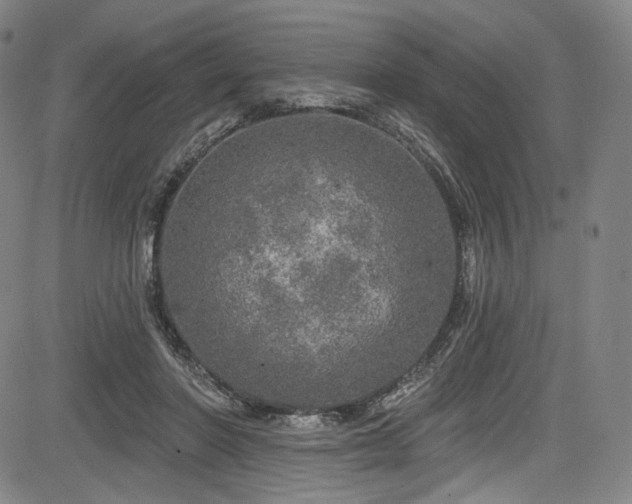 X0000083630406200702121210