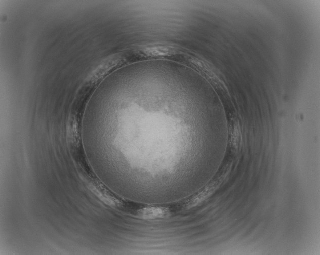 X0000083630418200702121210