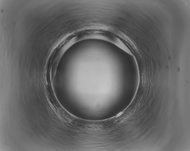 X0000083630436200702121209
