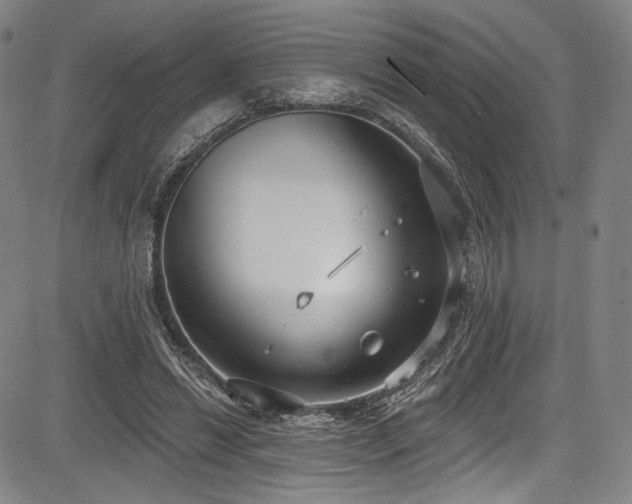 X0000083630446200702121209