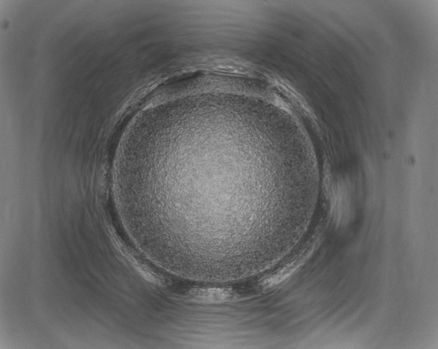 X0000083630449200702121209