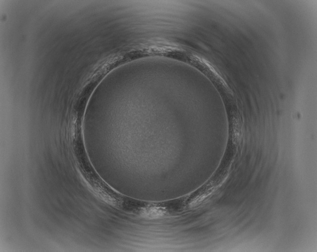 X0000083630451200702121210