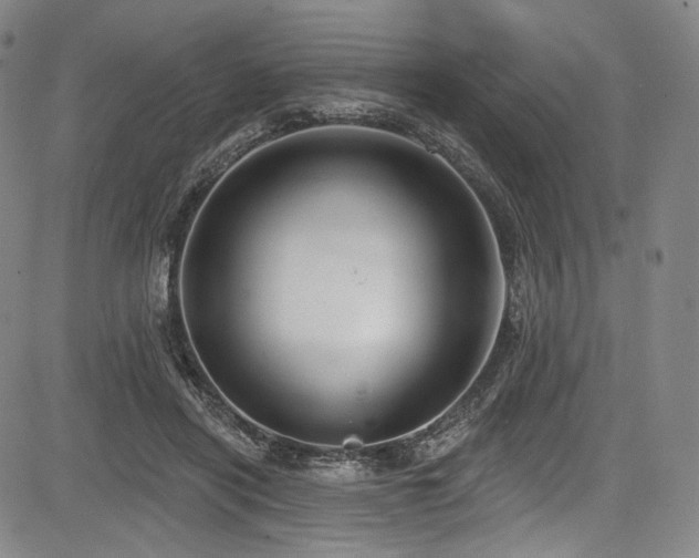 X0000083630454200702121210