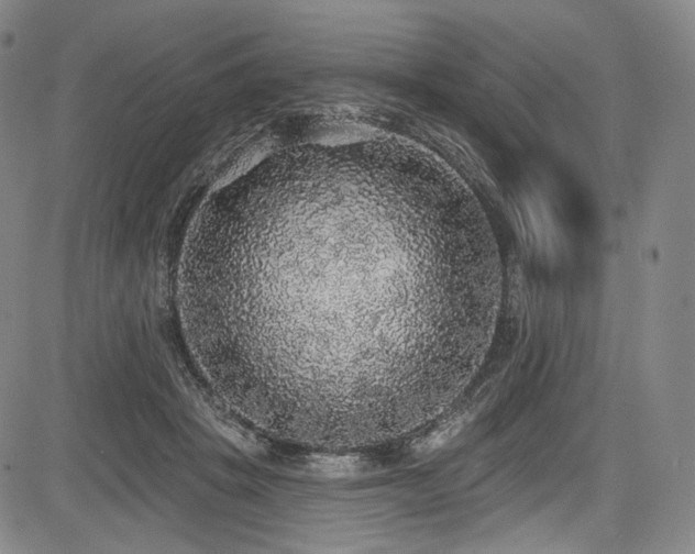 X0000083630457200702121210