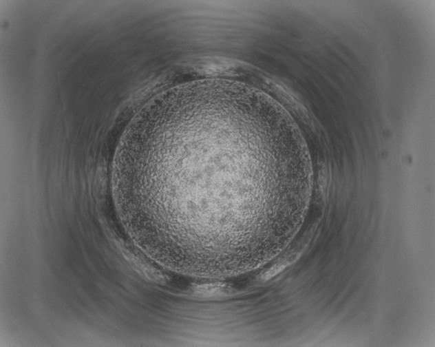 X0000083630461200702121210