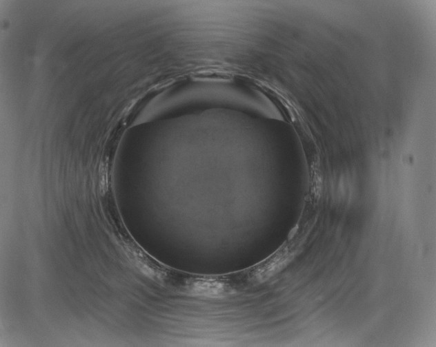 X0000083630471200702121210