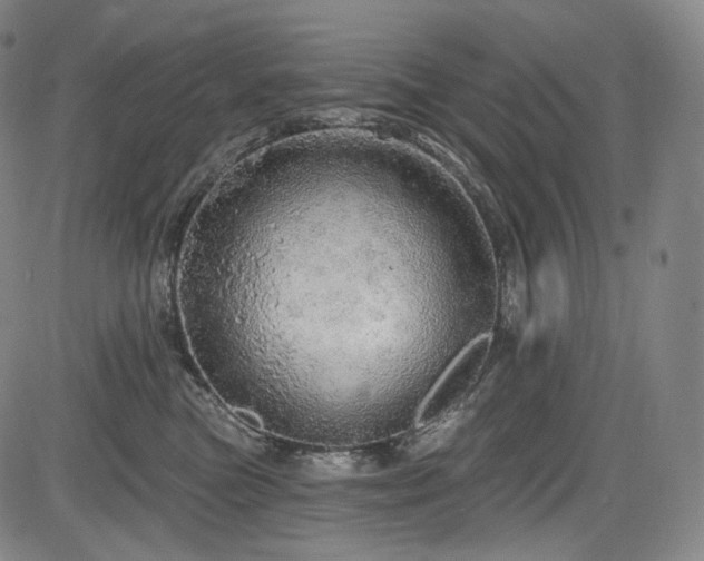 X0000083630473200702121210