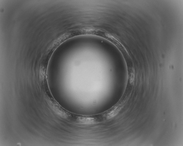 X0000083630476200702121210