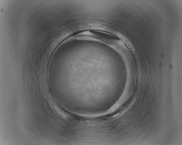 X0000083630481200702121209