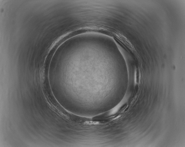X0000083630484200702121209
