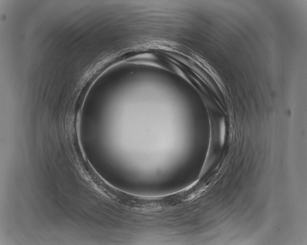 X0000083630485200702121209
