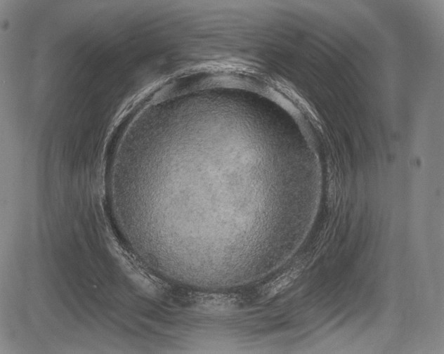X0000083630486200702121209