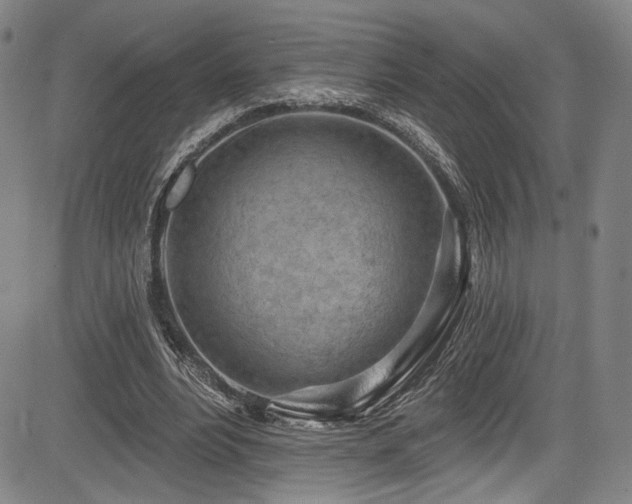 X0000083630488200702121209