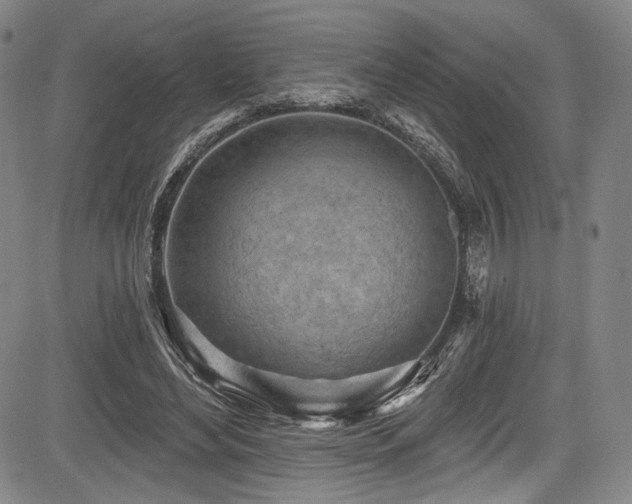 X0000083630492200702121209