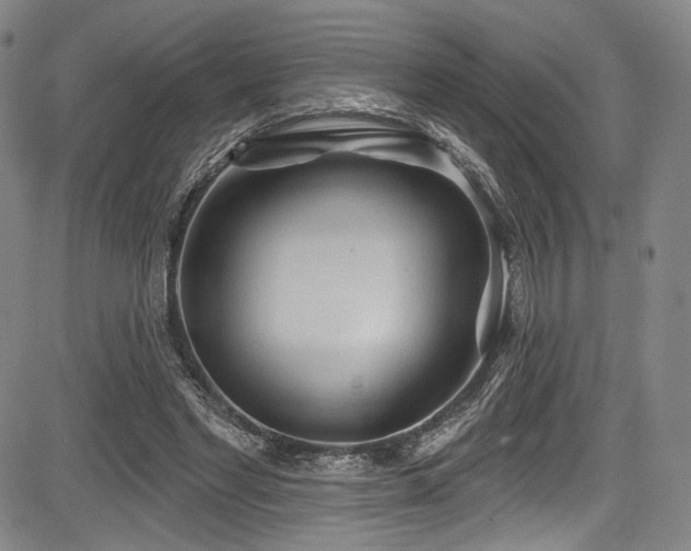 X0000083630493200702121209