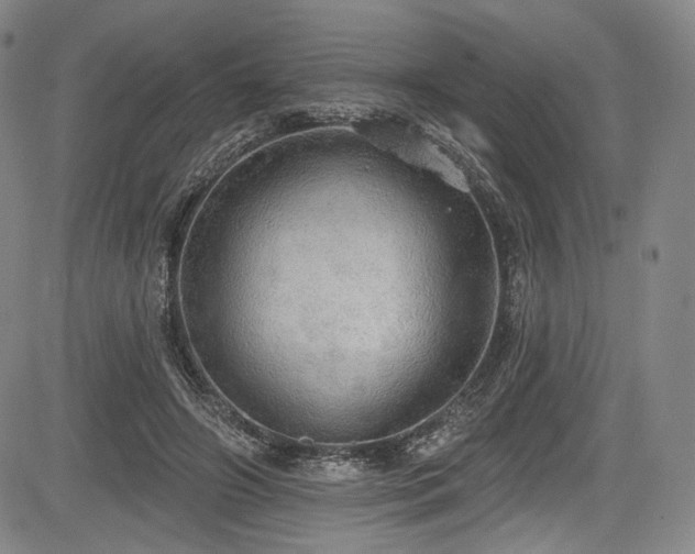 X0000083630498200702121209