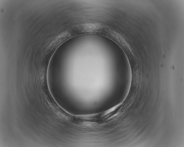 X0000083630505200702121209