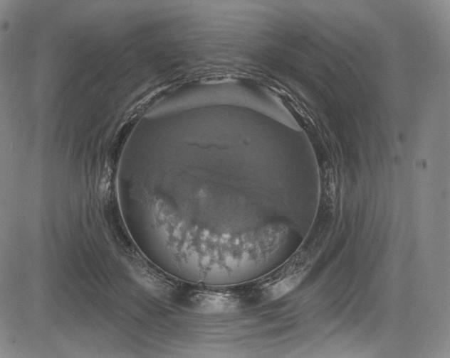 X0000083630507200702121209