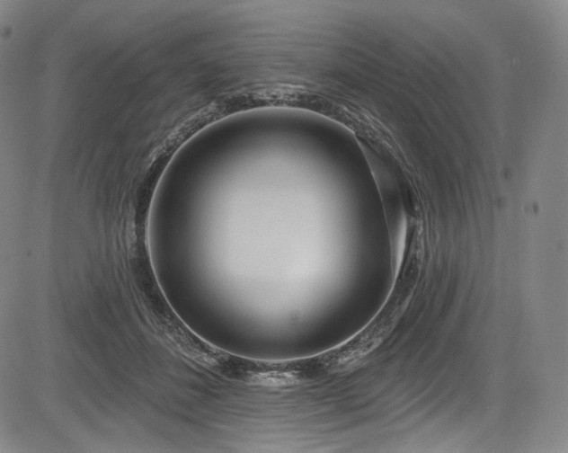X0000083630508200702121209