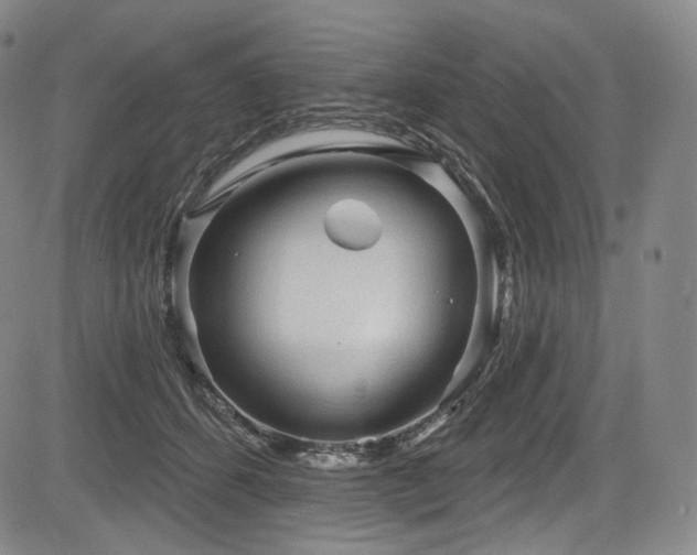 X0000083630512200702121209
