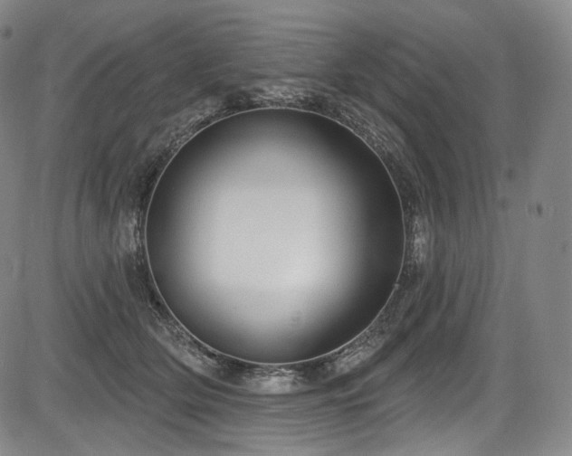 X0000083630514200702121209