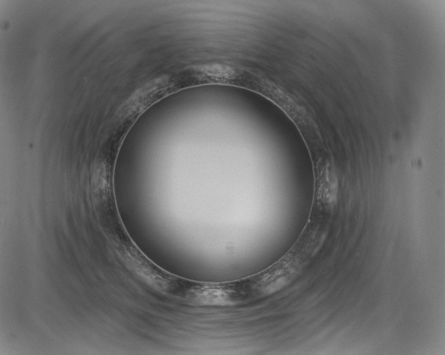 X0000083630518200702121209