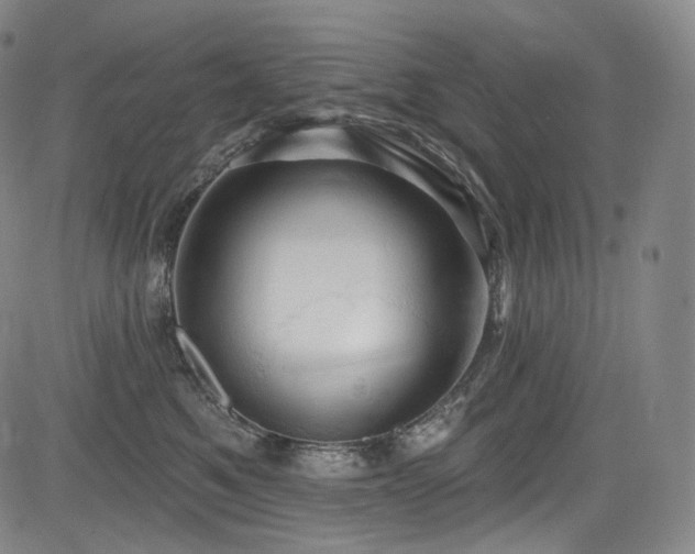 X0000083630521200702121209