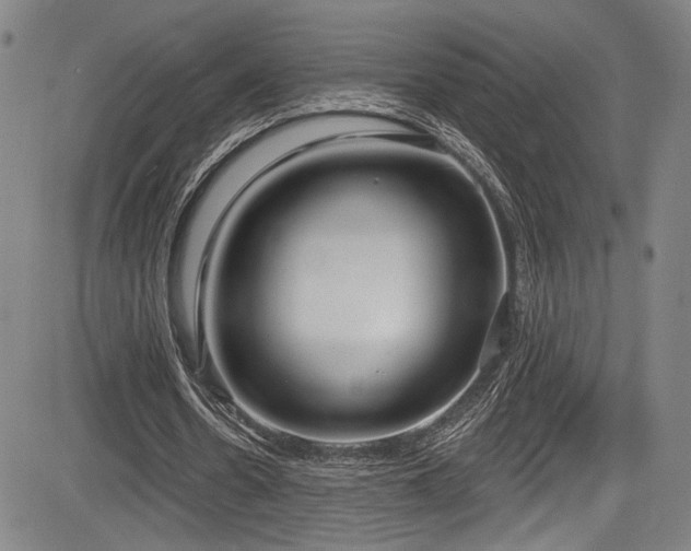 X0000083630530200702121208