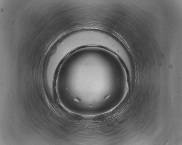 X0000083630534200702121208