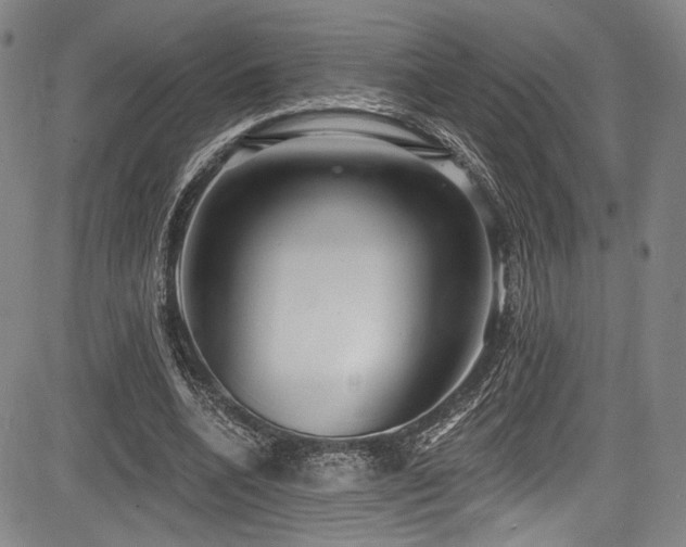 X0000083630536200702121208