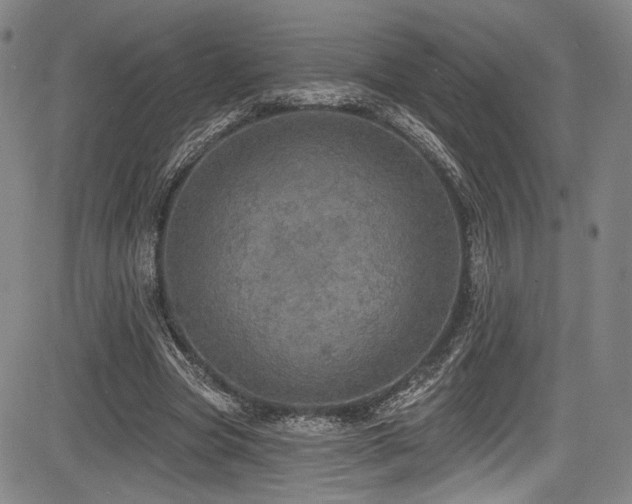 X0000083630537200702121208