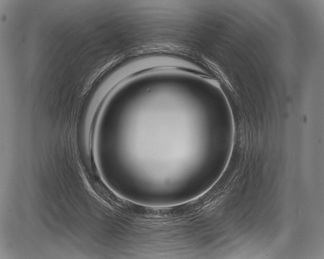 X0000083630538200702121208