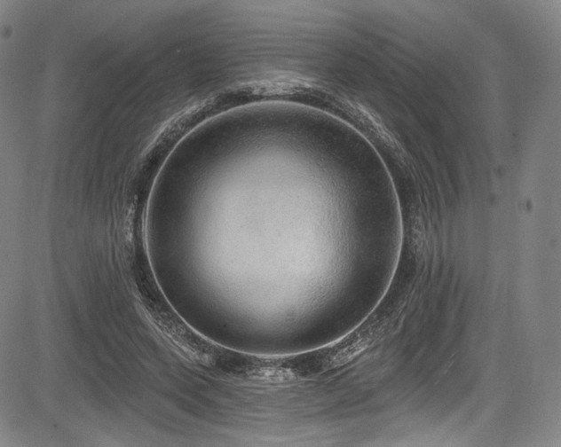 X0000083630543200702121208