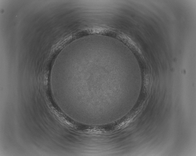 X0000083630545200702121208