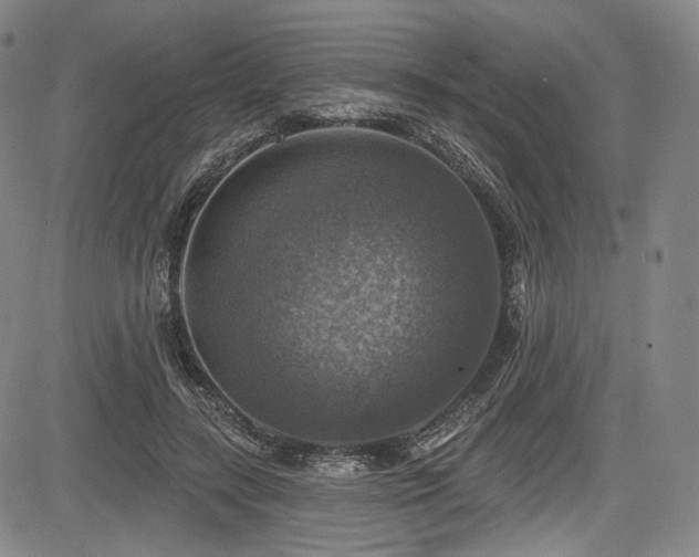 X0000083630547200702121208